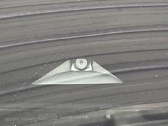 �ڥ���ƥꥸ����ȥ��ޡ������󥷡��֥졼���ۥե���ȥ����������μ�ξ����ԼԤ��Ρ����ͤ������ʻ��Ͼ����ﳲ�ڸ��֥졼������ư�����Ͳ���򥵥ݡ��ȡ��������˥ɥ饤�֤򤪳ڤ��ߤ��������ޤ��� 3