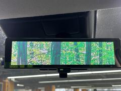 �ڥ���ƥꥸ����ȥ롼��ߥ顼�۸��ʤ��礭�ʲ�ʪ��Ʊ��ԤǸ�������ǧ���Ť餤���Ǥ�¿�������餬���Ƥ�����ξ�����α�����롼��ߥ顼���ɽ�������ꥢ�ʻ볦�Ǿ����γ�ǧ����ǽ�Ǥ��� 7