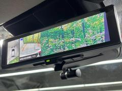 �ڥ���ƥꥸ����ȥ롼��ߥ顼�۸��ʤ��礭�ʲ�ʪ��Ʊ��ԤǸ�������ǧ���Ť餤���Ǥ�¿�������餬���Ƥ�����ξ�����α�����롼��ߥ顼���ɽ�������ꥢ�ʻ볦�Ǿ����γ�ǧ����ǽ�Ǥ��� 6