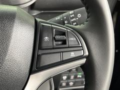 �ڥ����ץƥ��֥��롼������ȥ�����۹�®ƻϩ�Ǥ�Ĺ��Υ���Ԥ��ڤˡ�����ư��®�٤��ݤĥ��롼������ȥ����뤬�����ͷڸ������ƥ��Ϣ�Ȥ��������μ�ξ���Τ��Ƽִ֤��ݤĤ褦��®��Ĵ�ᤷ�Ƥ���ޤ����� 7