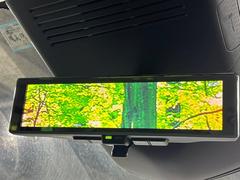 �ڥ���ƥꥸ����ȥ롼��ߥ顼�۸��ʤ��礭�ʲ�ʪ��Ʊ��ԤǸ�������ǧ���Ť餤���Ǥ�¿�������餬���Ƥ�����ξ�����α�����롼��ߥ顼���ɽ�������ꥢ�ʻ볦�Ǿ����γ�ǧ����ǽ�Ǥ��� 6