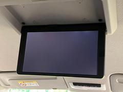 �ڥ���ƥꥸ����ȥ롼��ߥ顼�۸��ʤ��礭�ʲ�ʪ��Ʊ��ԤǸ�������ǧ���Ť餤���Ǥ�¿�������餬���Ƥ�����ξ�����α�����롼��ߥ顼���ɽ�������ꥢ�ʻ볦�Ǿ����γ�ǧ����ǽ�Ǥ��� 7