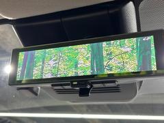 �ڥ���ƥꥸ����ȥ롼��ߥ顼�۸��ʤ��礭�ʲ�ʪ��Ʊ��ԤǸ�������ǧ���Ť餤���Ǥ�¿�������餬���Ƥ�����ξ�����α�����롼��ߥ顼���ɽ�������ꥢ�ʻ볦�Ǿ����γ�ǧ����ǽ�Ǥ��� 7