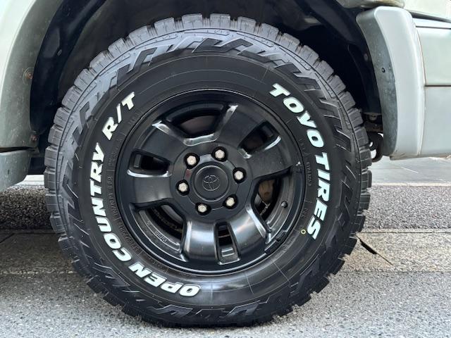 �V�i�z���C�g���^�[�l�s�^�C��