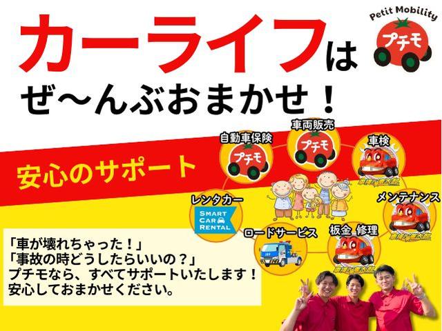 ミライース L SAIII クリアランスソナー 衝突被害軽減システム オートマチックハイビーム オートライト キーレスエントリー アイドリングストップ CVT 盗難防止システム ABS ESC 衝突安全ボディ エアコン(44枚目)