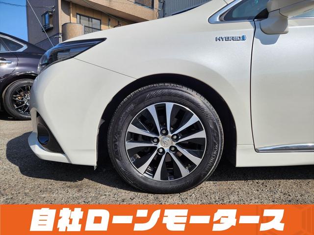 �Ԍ������t�̕\���́@���ꂩ��Ԍ����Q�N�Ԃ��܂��̂Ŏ��̎Ԍ��܂Œ������܂����I�C�����������Ă��[�Ԃ����Ă��������܂����u�~���C�A���@�Ԃ̋Ɩ��X�[�p�[�v