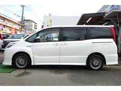 ���䤫�ʥѡ���ۥ磻�Ȥ˥�ǥꥹ�����������������դ��ǥ��������Хå����ޤäƤޤ����� 3