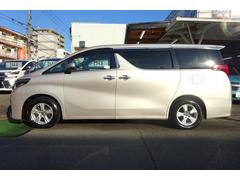 ���䤫�ʥ��顼�Υ���ե����ɤǤ������ң��٤������������� 3