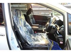 ���ǥå��� ���֥��롼�ȡ��ţإۥ�����󥷥󥰡�������������ӣĥʥӡ��ϥǥ� 0802032A30260213W001 7