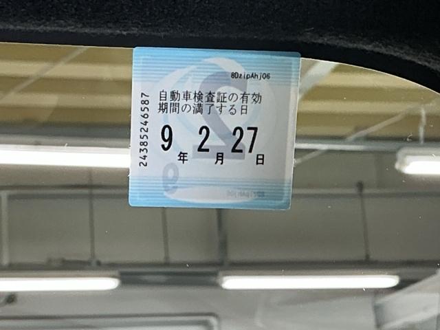 �Ԍ��͂����̊����܂łƂȂ�܂�