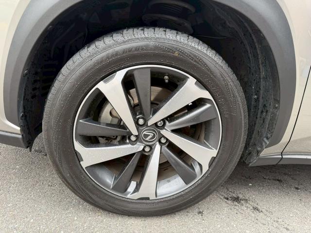 ���А����H����������Ă���܂��B���S���Ă���蒸����l�A�n�����������m�ɂ��O�ꂵ���_���E�������s���Ă���܂��B�Ƃ��ɔ[�Ԍ�A�����ɏ��Օi�̌������o�Ȃ��悤�ɔz�����Đ������Ă���܂��B