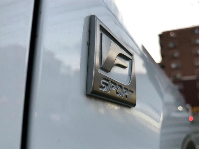 RX RX300 Fスポーツ パノラマルーフ ルーフレール 置くだけ充電 内装レッド 本革 前席後席シートヒーター アダクティブハイビームシステム パワーバックドア ヘッドアップディスプレイ BSM(20枚目)