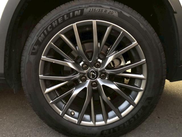 RX RX300 Fスポーツ パノラマルーフ ルーフレール 置くだけ充電 内装レッド 本革 前席後席シートヒーター アダクティブハイビームシステム パワーバックドア ヘッドアップディスプレイ BSM(47枚目)