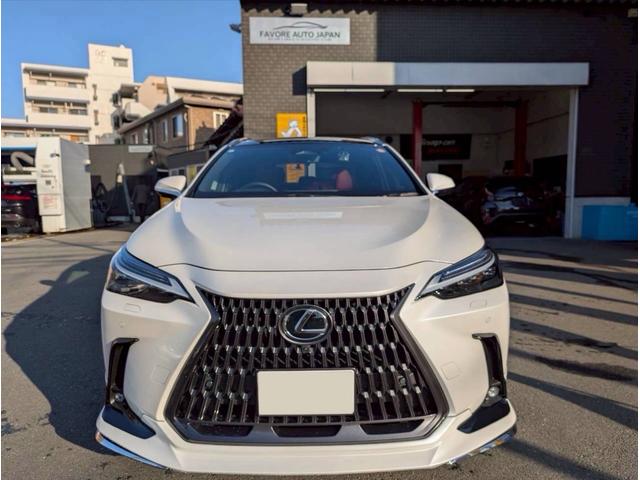 NX NX250 バージョンL パノラマルーフ モデリスタフルエアロ デジタルインナーミラー ルーフレール 内装レッド 置くだけ充電 20インチプレミアムメタリックAW 14インチディスプレイオーディオ パノラミックビューモニター(9枚目)