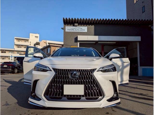 NX NX250 バージョンL パノラマルーフ モデリスタフルエアロ デジタルインナーミラー ルーフレール 内装レッド 置くだけ充電 20インチプレミアムメタリックAW 14インチディスプレイオーディオ パノラミックビューモニター(10枚目)