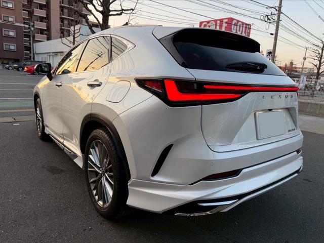 NX NX250 バージョンL パノラマルーフ モデリスタフルエアロ デジタルインナーミラー ルーフレール 内装レッド 置くだけ充電 20インチプレミアムメタリックAW 14インチディスプレイオーディオ パノラミックビューモニター(18枚目)