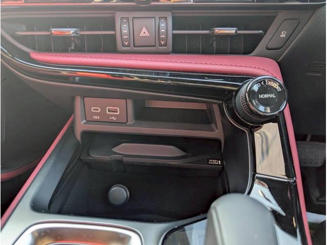 NX NX250 バージョンL パノラマルーフ モデリスタフルエアロ デジタルインナーミラー ルーフレール 内装レッド 置くだけ充電 20インチプレミアムメタリックAW 14インチディスプレイオーディオ パノラミックビューモニター(32枚目)