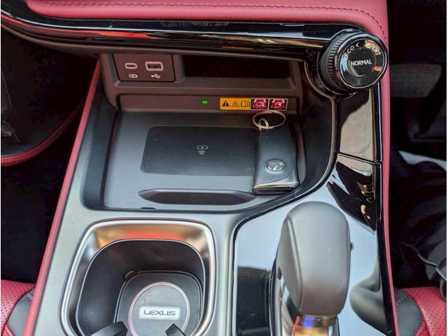 NX NX250 バージョンL パノラマルーフ モデリスタフルエアロ デジタルインナーミラー ルーフレール 内装レッド 置くだけ充電 20インチプレミアムメタリックAW 14インチディスプレイオーディオ パノラミックビューモニター(33枚目)