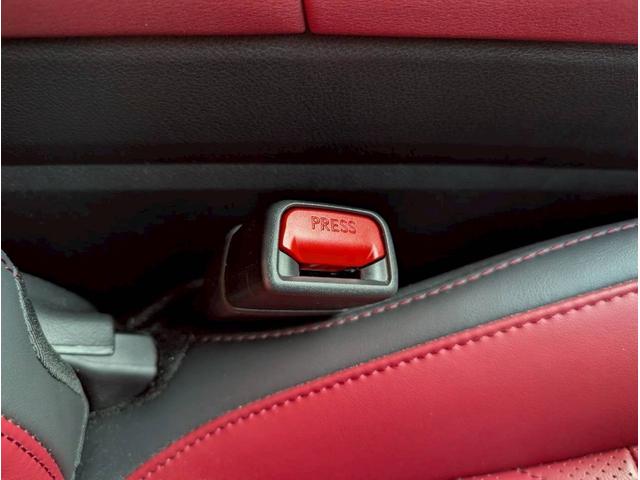 NX NX250 バージョンL パノラマルーフ モデリスタフルエアロ デジタルインナーミラー ルーフレール 内装レッド 置くだけ充電 20インチプレミアムメタリックAW 14インチディスプレイオーディオ パノラミックビューモニター(35枚目)