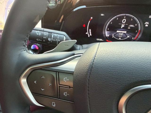 NX NX250 バージョンL パノラマルーフ モデリスタフルエアロ デジタルインナーミラー ルーフレール 内装レッド 置くだけ充電 20インチプレミアムメタリックAW 14インチディスプレイオーディオ パノラミックビューモニター(42枚目)