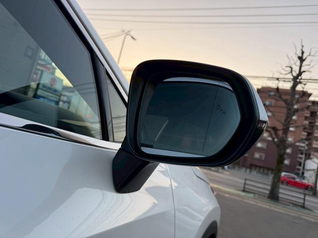 NX NX250 バージョンL パノラマルーフ モデリスタフルエアロ デジタルインナーミラー ルーフレール 内装レッド 置くだけ充電 20インチプレミアムメタリックAW 14インチディスプレイオーディオ パノラミックビューモニター(49枚目)