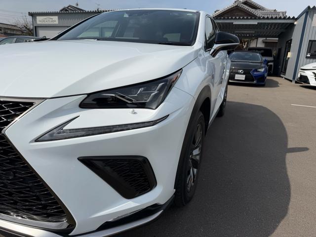 ＮＸ ＮＸ３００　Ｆスポーツ　禁煙車　サンルーフ　ブラインドスポットモニター　セーフティシステムプラス　純正１０型ナビ　ＥＴＣ　バックカメラ　パワーバックドア　ＬＥＤヘッドライト　メモリー機能付パワーシート　整備記録簿（17枚目）