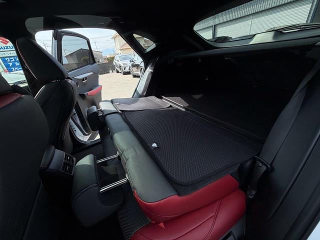 ＮＸ ＮＸ３００　Ｆスポーツ　禁煙車　サンルーフ　ブラインドスポットモニター　セーフティシステムプラス　純正１０型ナビ　ＥＴＣ　バックカメラ　パワーバックドア　ＬＥＤヘッドライト　メモリー機能付パワーシート　整備記録簿（50枚目）