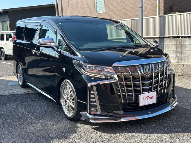 アルファード ２．５Ｓ　タイプゴールドＩＩ　ドライブレコーダー　バックカメラ　ナビ　クリアランスソナー　オートクルーズコントロール　レーンアシスト　衝突被害軽減システム　両側電動スライドドア　オートマチックハイビーム　オートライト（13枚目）