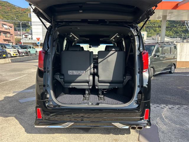 アルファード ２．５Ｓ　タイプゴールドＩＩ　ドライブレコーダー　バックカメラ　ナビ　クリアランスソナー　オートクルーズコントロール　レーンアシスト　衝突被害軽減システム　両側電動スライドドア　オートマチックハイビーム　オートライト（19枚目）