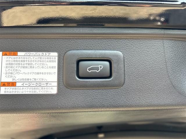 アルファード ２．５Ｓ　タイプゴールドＩＩ　ドライブレコーダー　バックカメラ　ナビ　クリアランスソナー　オートクルーズコントロール　レーンアシスト　衝突被害軽減システム　両側電動スライドドア　オートマチックハイビーム　オートライト（36枚目）