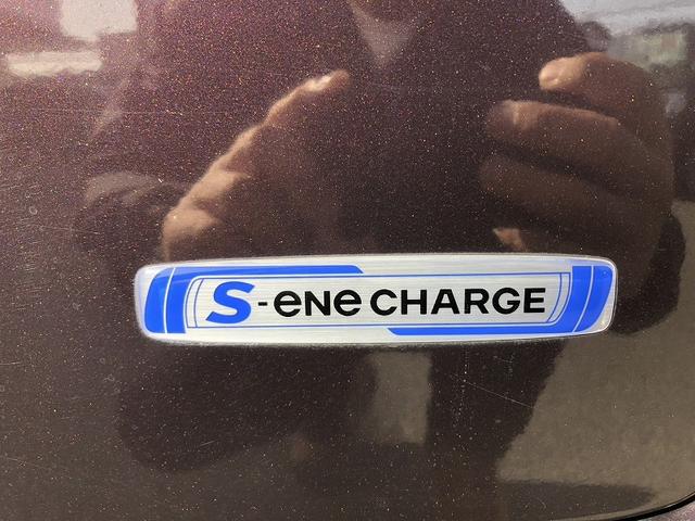 スペーシアカスタムＺ ベースグレード　デュアルカメラブレーキサポート　車線逸脱警報　パワースライドドア　シートヒーター　アイドリングストップ　スマートキー　プッシュスタート　ＨＩＤライト　フォグ　ＥＴＣ　オーディオ　プライバシーガラス（30枚目）