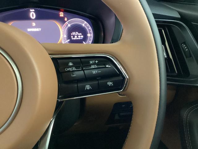 ＣＸ－８０ ３．３　ＸＤハイブリッド　プレミアム　スポーツ　ディーゼルタ　試乗車アップ　サンルーフ　ナビ　ＥＴＣ　パノラマサンルーフ　ＥＴＣ　オートマチックハイビーム　シートヒーター　４ＷＤ　アルミホイール　クリアランスソナー　パワーシート　パワーリフトゲート　衝突軽減（31枚目）