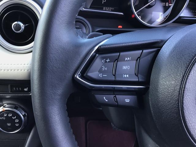 ＣＸ－３ １．５　１５Ｓ　１００周年特別記念車　ナビ　ＥＴＣ　全方位モニター　ＣＤ　ＤＶＤ　フル（43枚目）