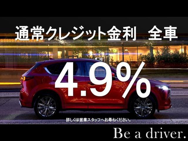 ＣＸ－３ １．５　１５Ｓ　１００周年特別記念車　ナビ　ＥＴＣ　全方位モニター　ＣＤ　ＤＶＤ　フル（75枚目）