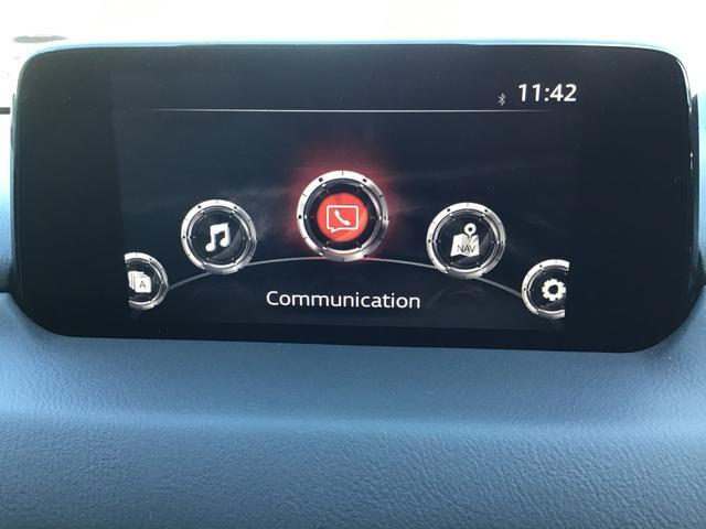 オーディオソースはこのようになっています。