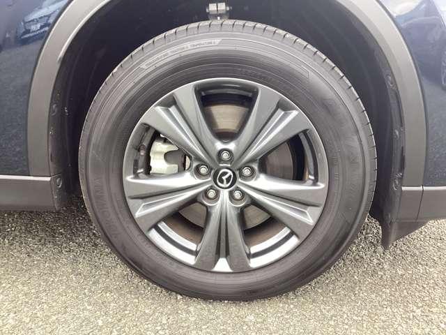 �A���~�z�C�[���t�ł��B�I�V�����͑��������