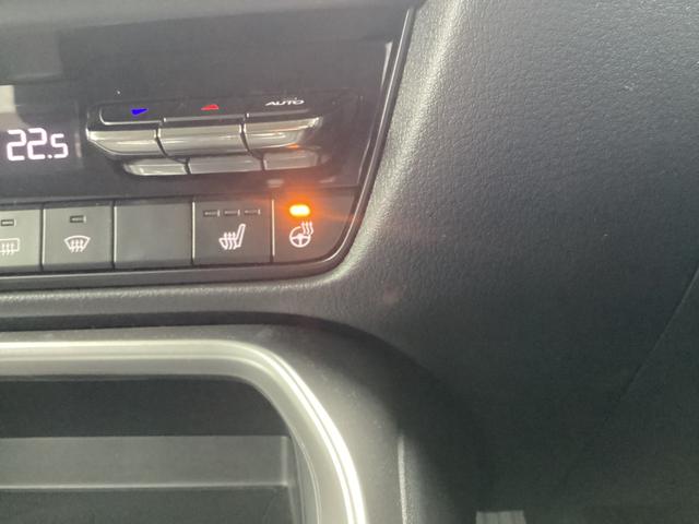 �X�e�A�����O�q�[�^�[�œ~�ł�����������