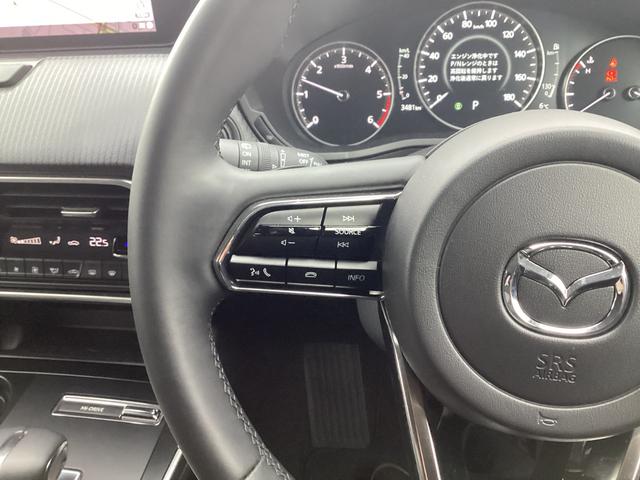 �X�e�A�����O���A�֗��ȃX�e�A�����O�I�[�f�B�I�����[�g�R���g���[���X�B�b�`�ƃ��[�_�[�N���[�Y�R���g���[���X�C�b�`�t����