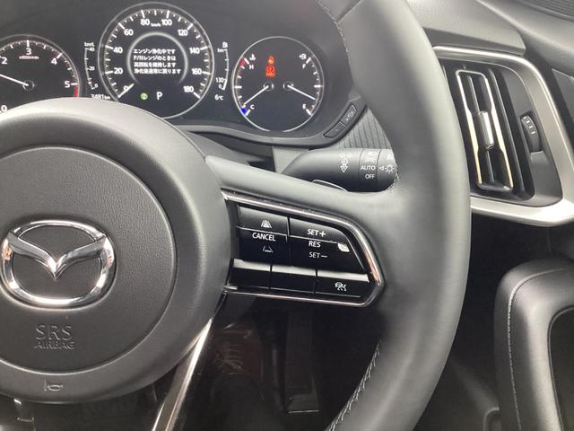 ���[�_�[�N���[�Y�R���g���[���𑕔��B�A�N�Z����u���[�L�𑀍삵�Ȃ��Ă��A�����Ő�s�ԂƂ̎Ԋԋ�����ۂ��Ǐ]���s�ł��܂��B�������⍂�����H���^�]����ۂɁA�h���C�o�[�ւ̕��S���y�����܂��B