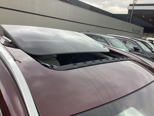 ��^�T�����[�t���������Ă܂��I