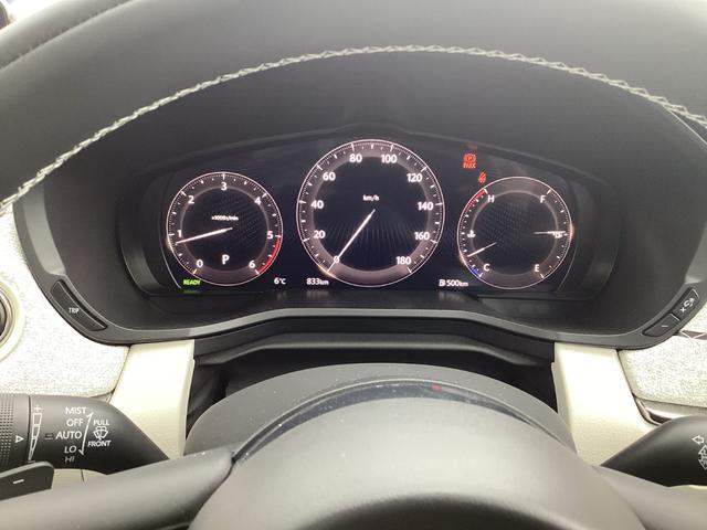 �X�|�[�e�B����������R�A���[�^�[���C���t�H���[�V������ʂɂ͕��ϔR��A�u�ԔR��A�㑱�\�����Ȃǂ�\���o���܂���