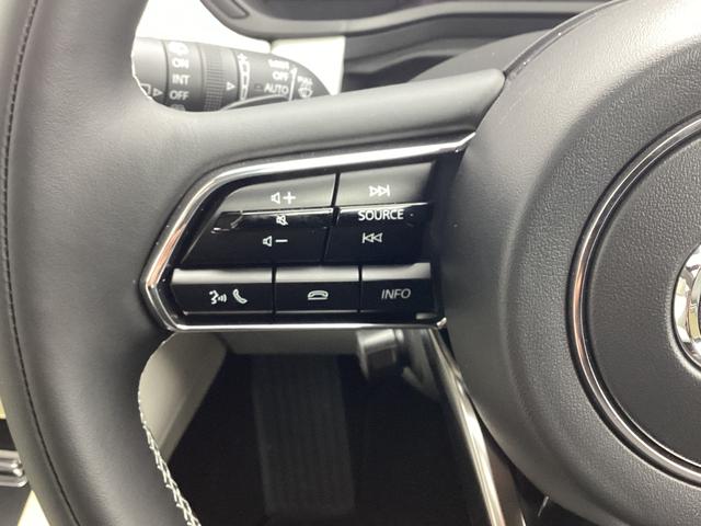 �X�e�A�����O���A�֗��ȃX�e�A�����O�I�[�f�B�I�����[�g�R���g���[���X�B�b�`�ƃ��[�_�[�N���[�Y�R���g���[���X�C�b�`�t����