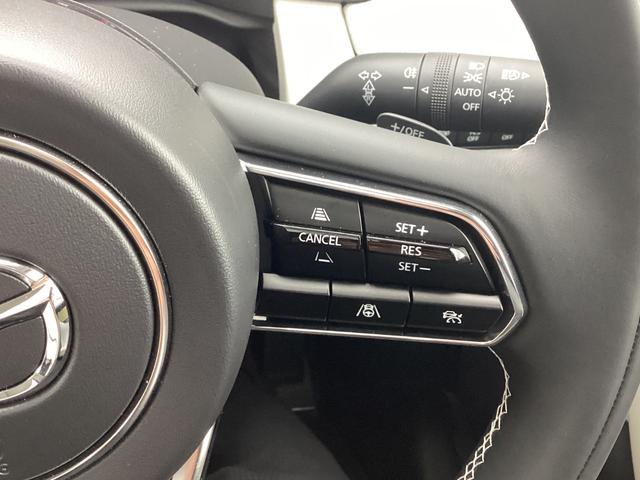 ���[�_�[�N���[�Y�R���g���[���𑕔��B�A�N�Z����u���[�L�𑀍삵�Ȃ��Ă��A�����Ő�s�ԂƂ̎Ԋԋ�����ۂ��Ǐ]���s�ł��܂��B�������⍂�����H���^�]����ۂɁA�h���C�o�[�ւ̕��S���y�����܂��B