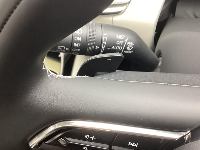 �p�h���V�t�g�X�C�b�`