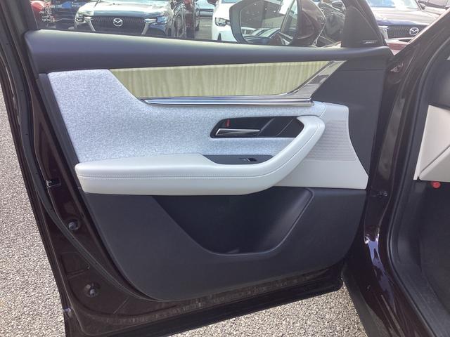 ����ȃh�A����