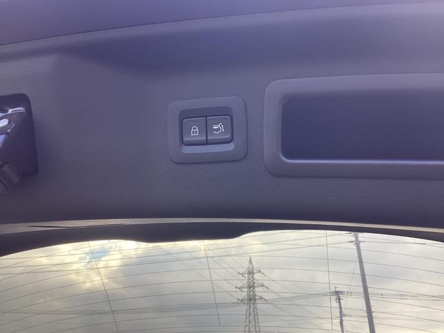 �p���[���t�g�Q�[�g�J�X�C�b�`