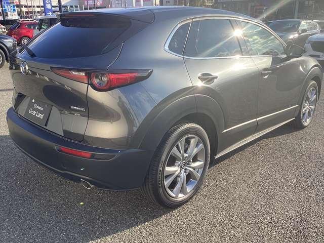 ���A�̃f�U�C���͂r�t�u�炵���͋����f�U�C���ɂȂ��Ă���܂��B