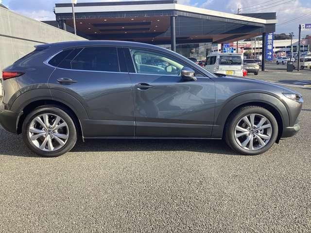 �E�T�C�h�r���[���X�|�[�e�B�[�I