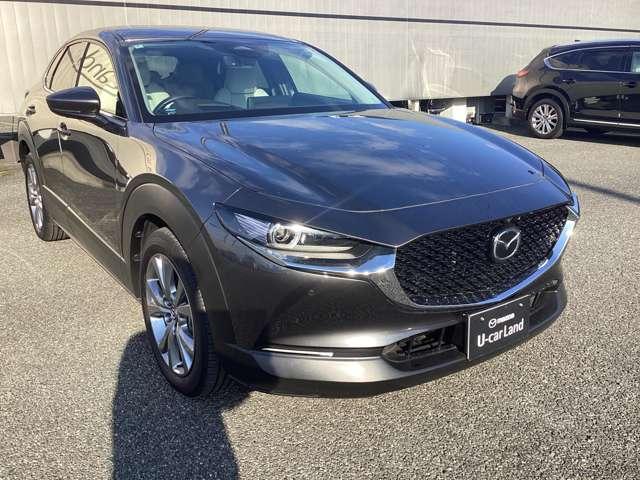 ���͂̂������ł��I�I