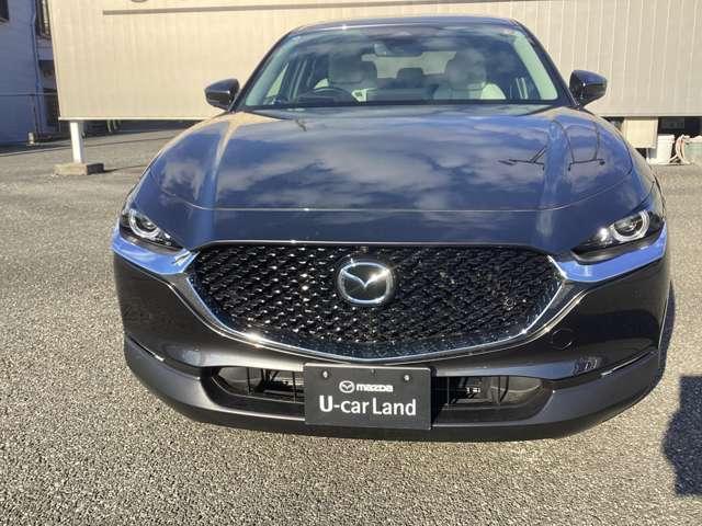 �L�т₩�Ȕ������ƁA�r�t�u�炵���͋�����\���B��_�Ƀu���b�N�A�E�g�����{�f�B������A�d���ɂ��Ĕ��͂̂���L���ȑ��`�ȂǁA���̈ڂ낢�ň�u���ƂɈႤ�\���������A�z�Ƃ����f�U�C���Ɏd�グ�܂����B